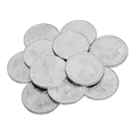 1 oz American Silver Eagle Silver Coin