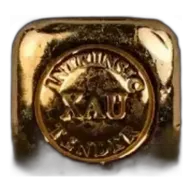 50g Gold Cast Bar - Intrinsic Tender