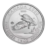 1.5 oz North American Bald Eagle Silver Coin