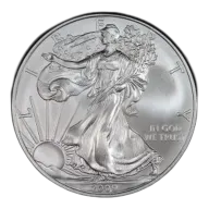 2009 American Silver Eagle Coin