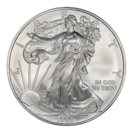2008 American Silver Eagle Coin