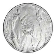2022 1 oz South African Platinum Big Five Elephant Coin (BU)