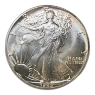 1 oz American Silver Eagle Silver Coin