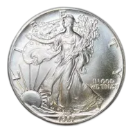 1 oz American Silver Eagle Silver Coin