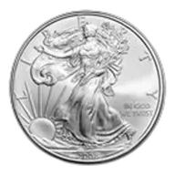 2008 1 oz American Silver Eagle BU