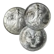 American Silver Eagle Coin (Varied Condition - Random Year)