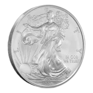 2008 1 oz American Silver Eagle Coin