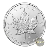 1 oz Canadian Platinum Maple Leaf Coin (Random Year)