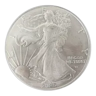 1 oz American Eagle Silver Coin