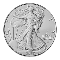 1 oz American Silver Eagle Silver Coin