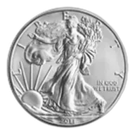 1 oz American Eagle Silver Coin