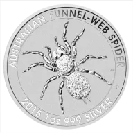 Funnel Web Spider