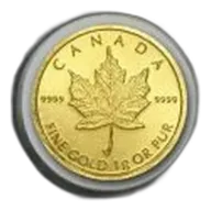 1g Gold Coin