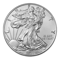 1 Ounce Silver American Eagle Coin
