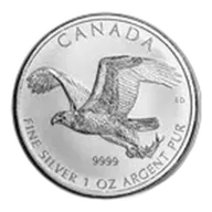 2014 RCM 1 oz Silver Birds of Prey Series Bald Eagle (Spotted)