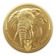 African Lion