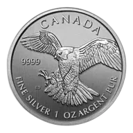 Birds of Prey Peregrine Falcon 1oz Silver Coin 2014 | margin scheme