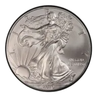 2010 American Silver Eagle Coin