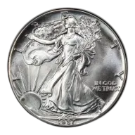 1987 American Silver Eagle Coin