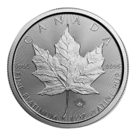 Any Year 1 oz Canadian Platinum Maple Leaf Coin