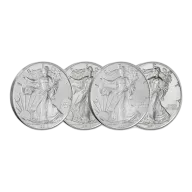 1 oz American Silver Eagle Silver Coin