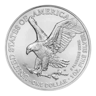 1 oz American Silver Eagle Silver Coin