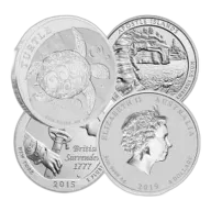 5 oz Silver Coin