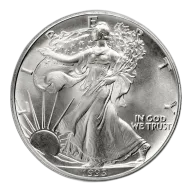 1993 Silver American Eagle - BU