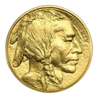 1 oz USA Gold Buffalo Coin (Year Varies)
