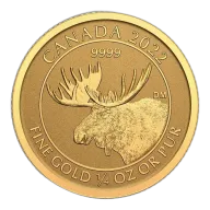 1/4 oz Canadian Moose Gold Coin