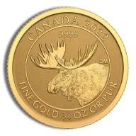 Canadian Moose
