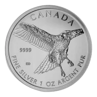 2015 1oz Canadian "Birds of Prey" Silver Series - Red-tailed Hawk
