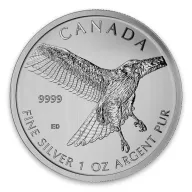 Birds of Prey