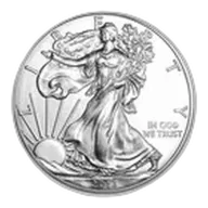 2013 1 oz American Silver Eagle BU