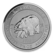 Polar Bear