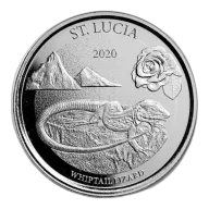 2020 Silver EC8 St. Lucia Lizard