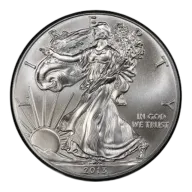 2013 American Silver Eagle Coin