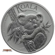 Perth Koala
