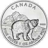 Grizzly Bear