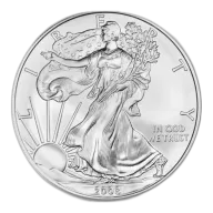 2008 1 oz Walking Liberty American Eagle Silver round
