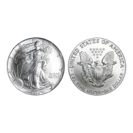 1994 American Eagle Silver 1 Oz Bullion Coin in Capsule