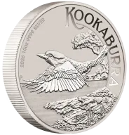 Kookaburra