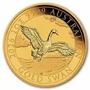 Swan