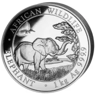 Somalia Elephant