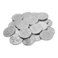 1 oz Silver Coin