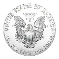 1 oz American Eagle Silver Coin (Random Year)