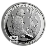 Australian Platypus