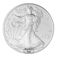 1 oz American Silver Eagle Coin (Random Year)