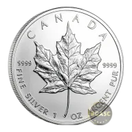 2013 1 oz Canadian Silver Maple Leaf Coin