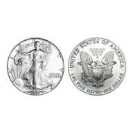 1991 American Eagle Silver 1 Oz Bullion Coin in Capsule